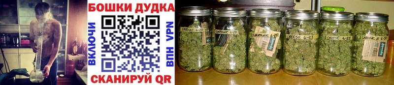 Бошки марихуана семена  где продают   MEGA сайт  сайты даркнета официальный сайт  Сасово 